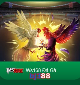 bj388